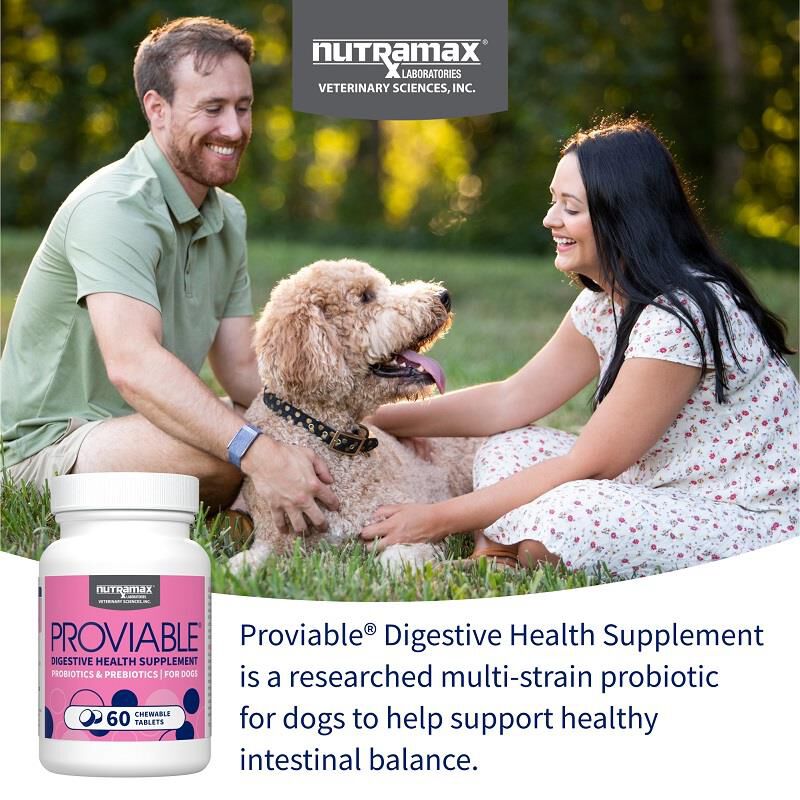 ProviableDC Digestive for Dogs Supplement 60 Tablets Allivet