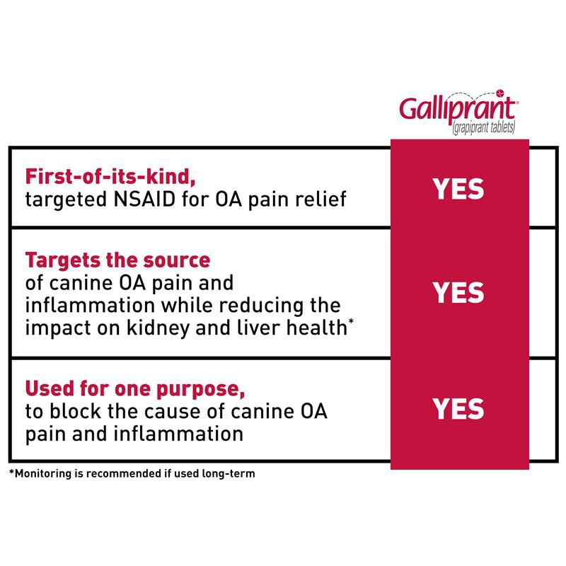 Galliprant and sales gabapentin