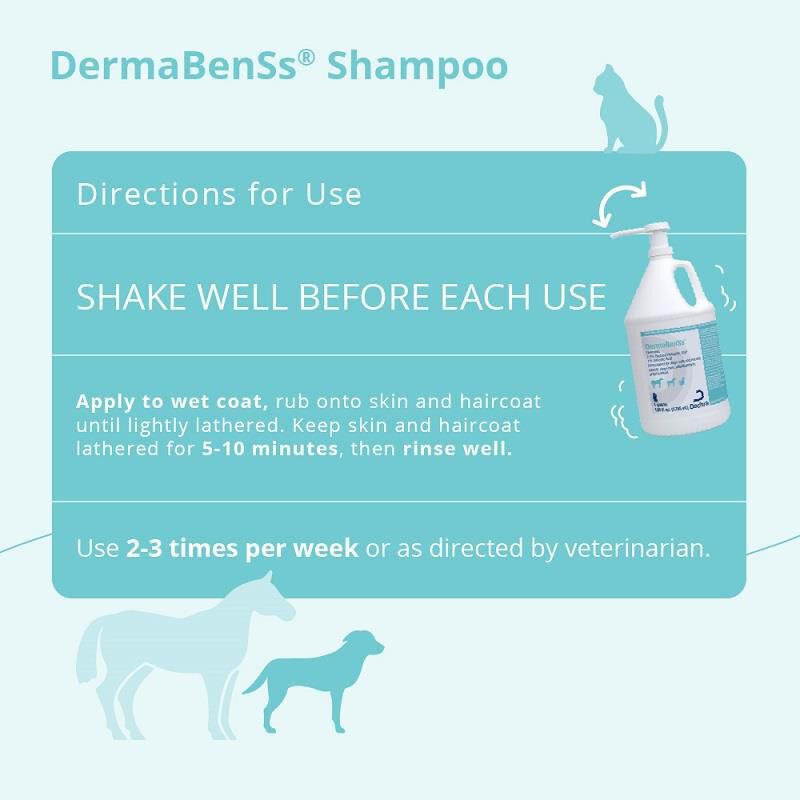 DermaBenSS Shampoo Gallon