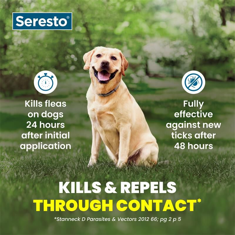 Seresto Flea and Tick Prevention Collar for Large Dogs, 8 month flea and tick prevention