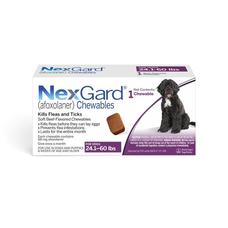Nexgard Chewables for Dogs Flea Tick Best Prices Allivet