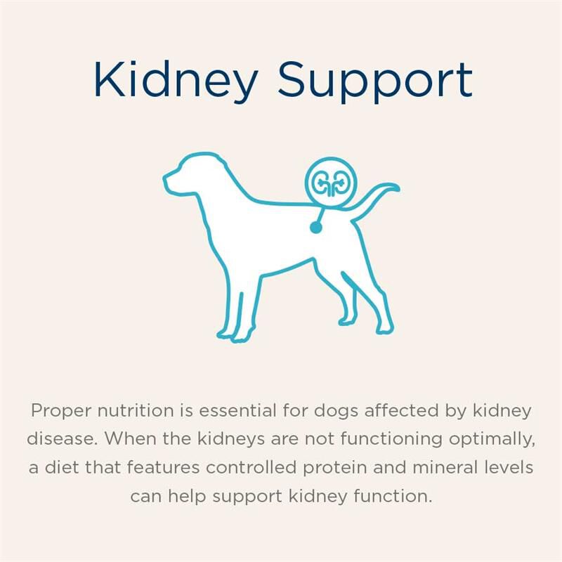 Blue Buffalo Natural Veterinary Diet KS Kidney Support Dog Food