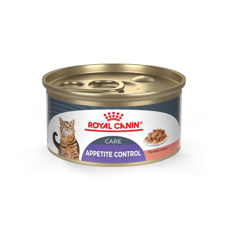 Royal Canin Feline Care Nutrition Adult Appetite Control Care Thin Slices in Gravy Canned Cat Food, 24 x 3 oz cans