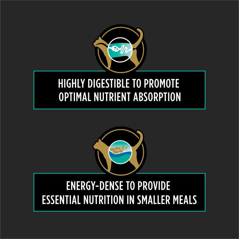 Purina Pro Plan Veterinary Diets EN Gastroenteric Formula Feline Dry Food, 10 lbs