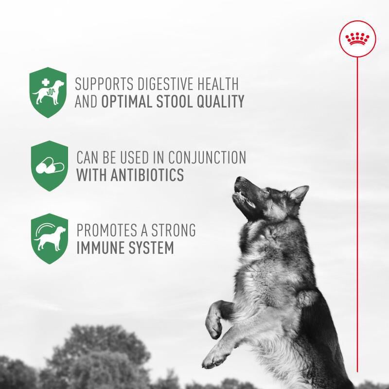 Royal Canin Probiotics Digestive & Immune Health Powder Supplement for Dogs, 1 gm packets