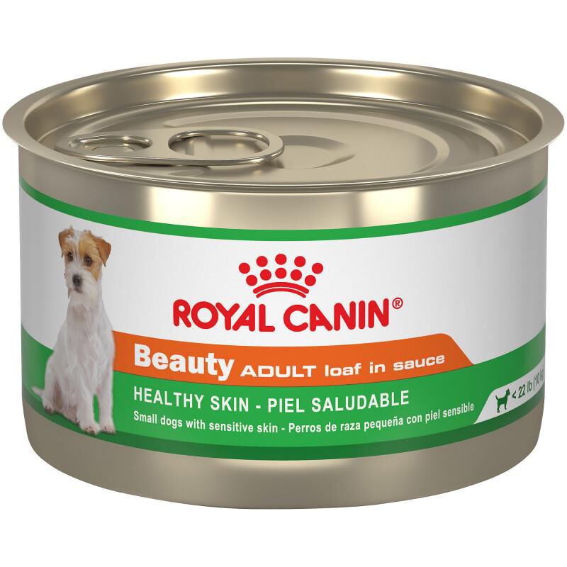 Royal Canin Canine Health Nutrition Adult Beauty Loaf in Sauce Canned Dog Food, 24 x 5.2 oz cans
