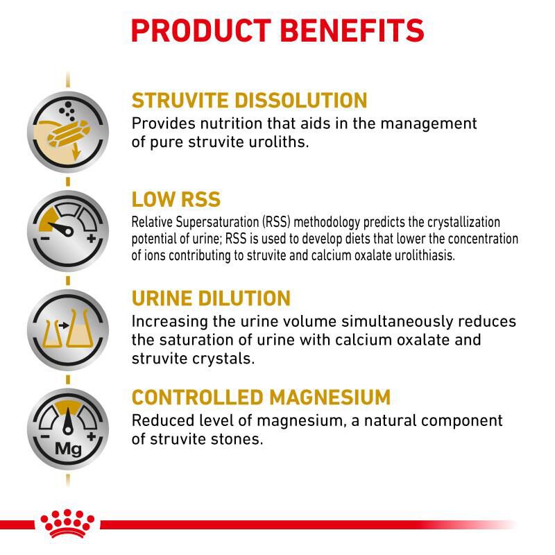 Royal Canin Veterinary Diet Adult Urinary SO Thin Slices in Gravy Canned Dog Food, 24 x 12.5 oz cans