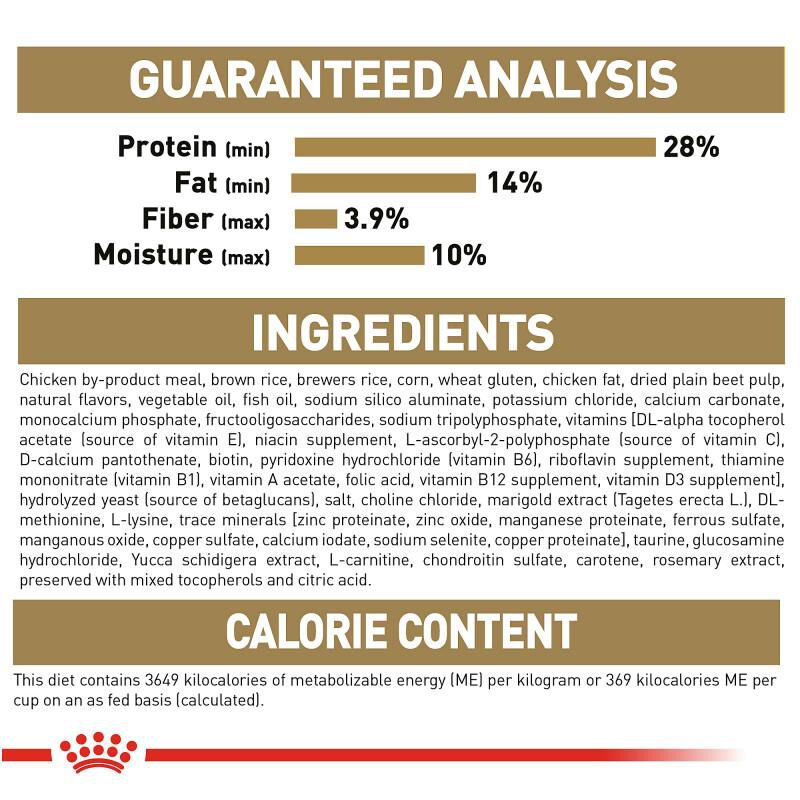 Royal Canin Breed Health Nutrition Dachshund Puppy Dry Dog Food, 2.5 lb bag