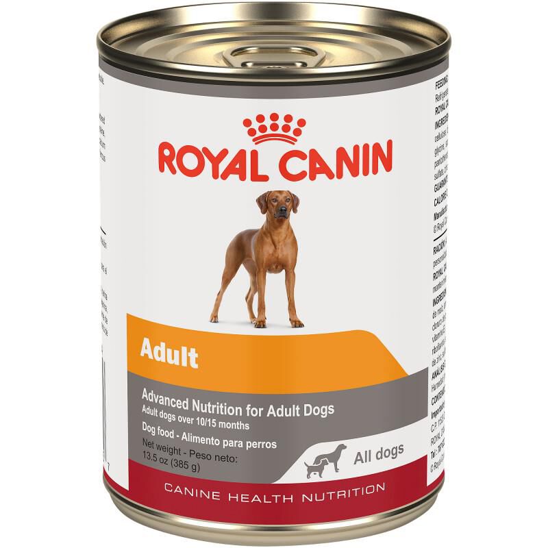 Royal Canin Canine Health Nutrition Adult In Gel Canned Dog Food, 12 x 13.5 oz cans