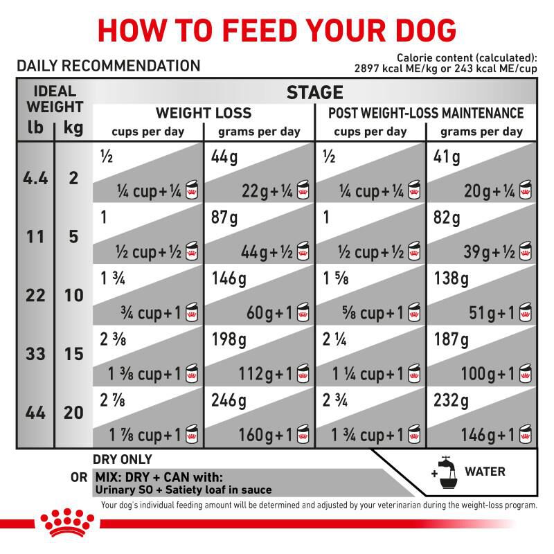 Royal Canin Veterinary Diet Adult Multifunction Urinary SO + Satiety Dry Dog Food, 17.6 lb. bag