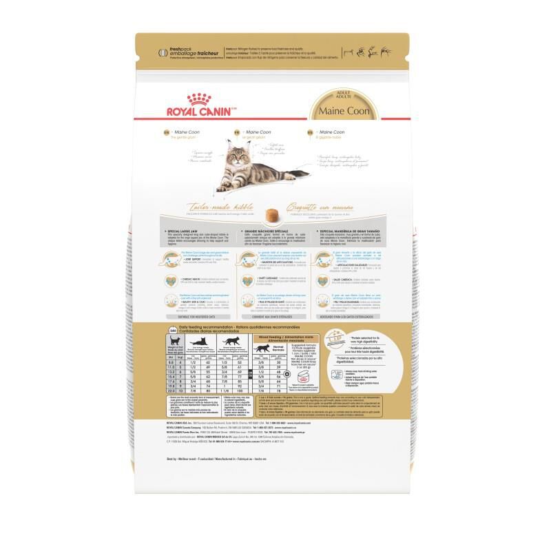 Royal Canin Feline Breed Nutrition Maine Coon Adult Dry Cat Food