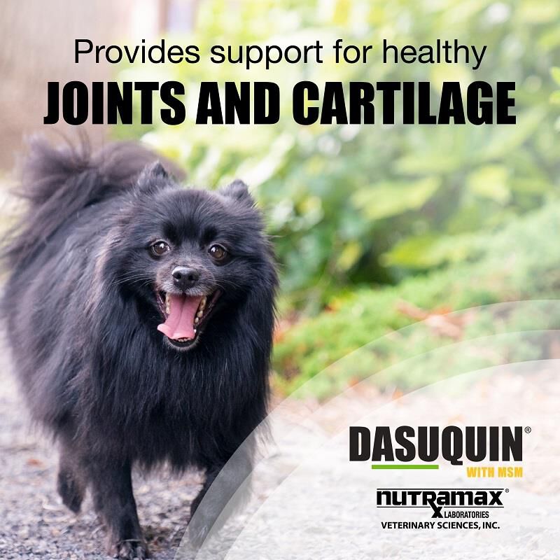 Dasuquin Soft Chews with MSM Small & Med Dogs under 60 lbs 84 Ct.