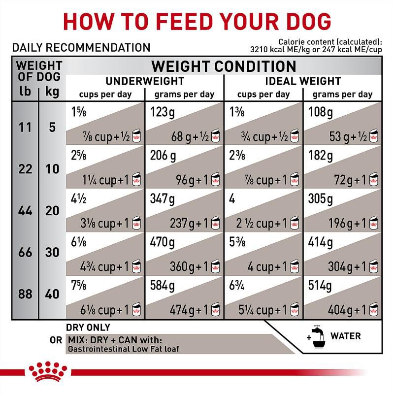 Royal Canin Veterinary Diet Adult Gastrointestinal Low Fat Dry Dog Food, 28.6 lb bag