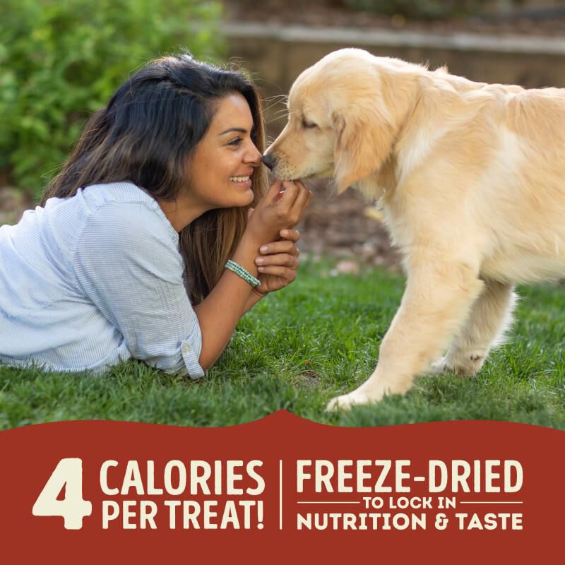 Acana Singles Beef & Pumpkin Freeze-Dried Dog Treats 3.25 oz