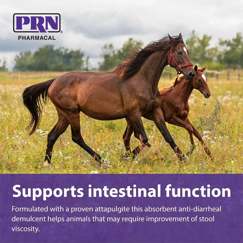 Endosorb Bolus AntiDiarrheal, 50 ct