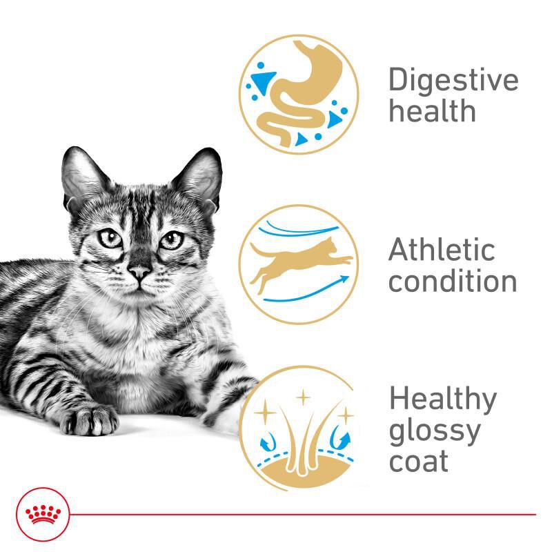 Royal Canin Feline Breed Nutrition Bengal Adult Dry Cat Food, 7 lb bag