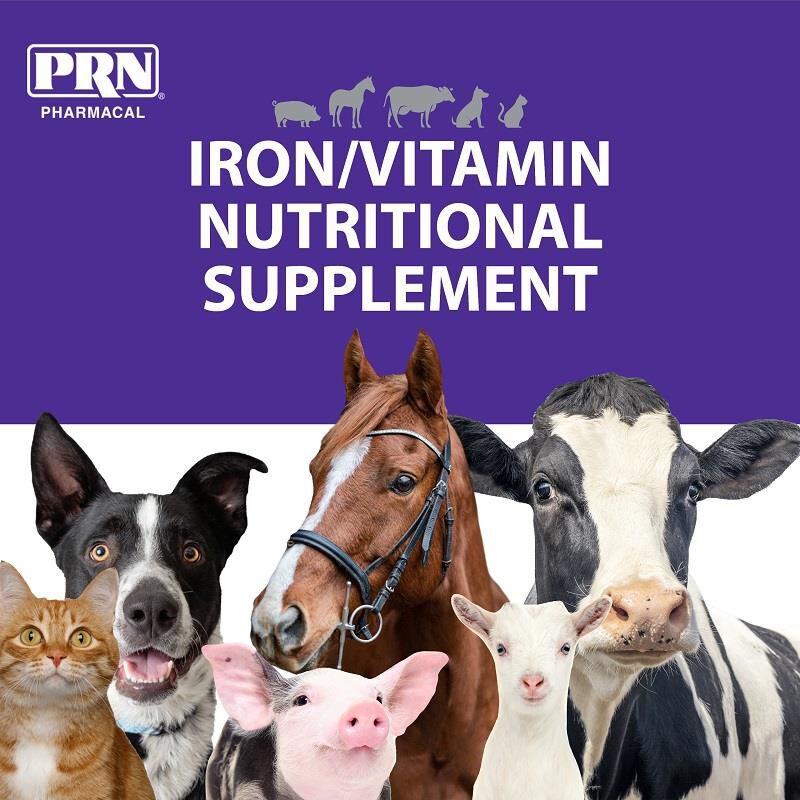 Liqui-Tinic 4x Flavored Vitamin and Iron Supplement for Dogs, Cats, Cattle, Swine and Horses, Gallon