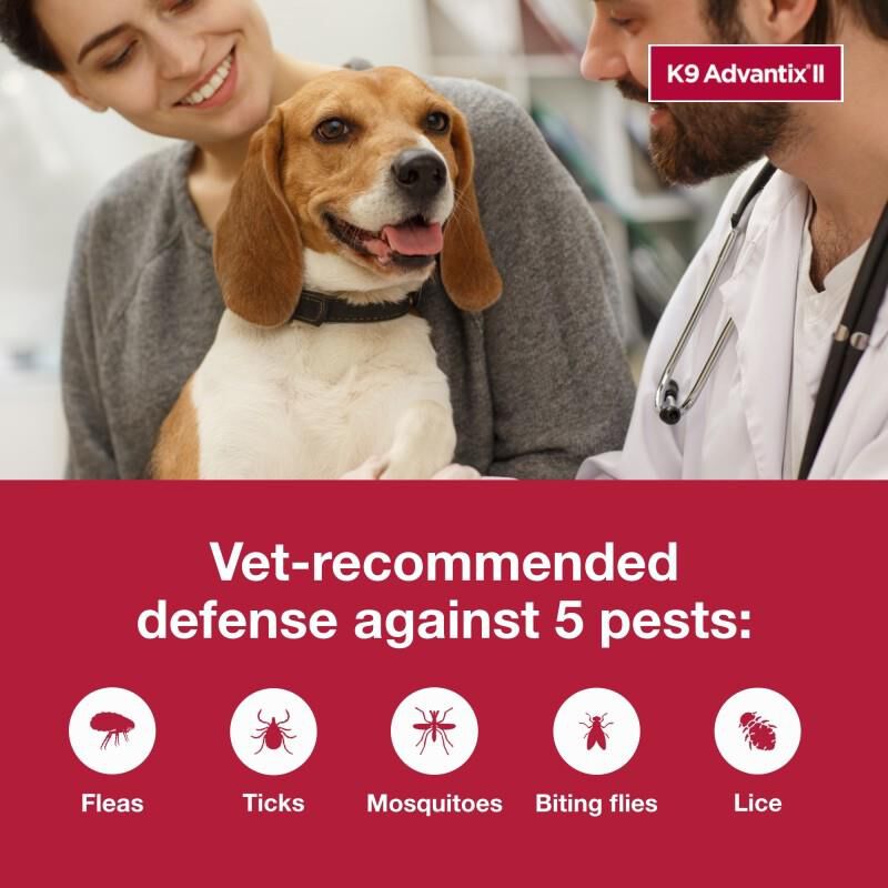 K9 Advantix II 11 - 20 lbs 4 Month Supply Teal