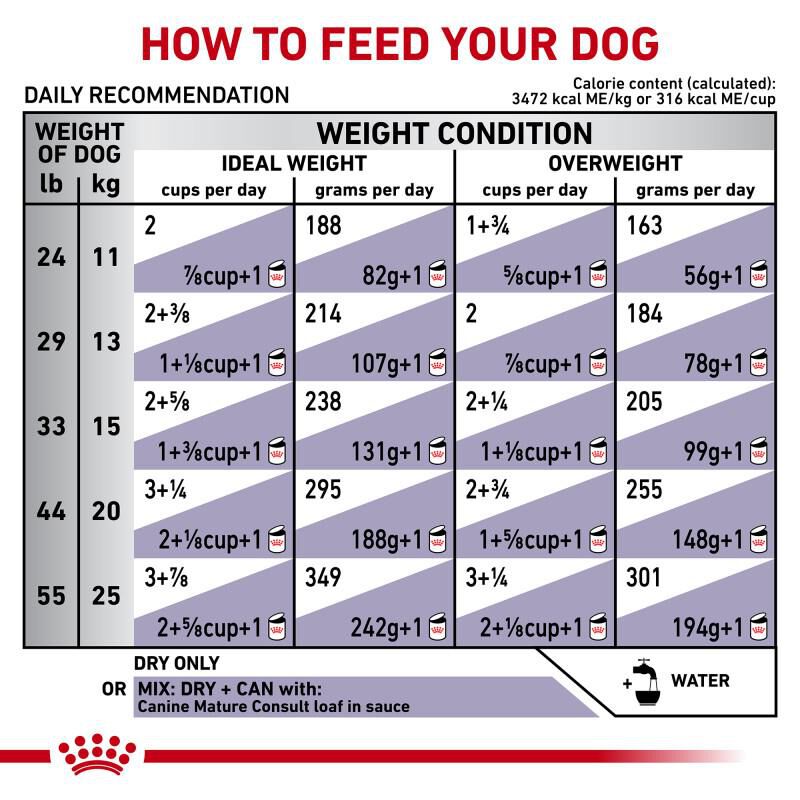 Royal Canin Veterinary Diet Adult Mature Consult Medium Breed Dry Dog Food