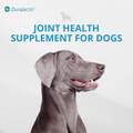 Duralactin Canine Joint Plus Soft Chews, 60 Ct.