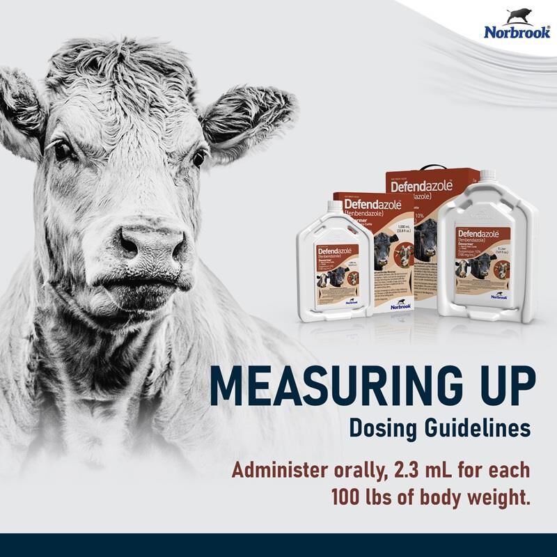 Defendazole (fenbendazole) Suspension 10% Dewormer for Beef & Dairy Cattle and Goats