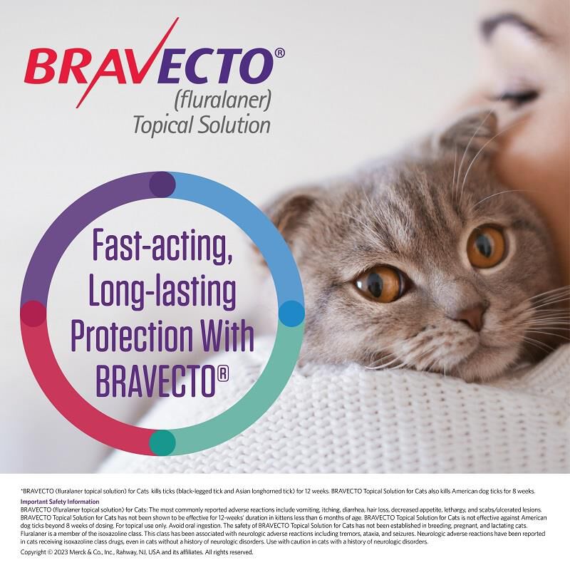 Bravecto Topical Solution for Cats, 6.2 - 13.8 lbs 250 mg Blue