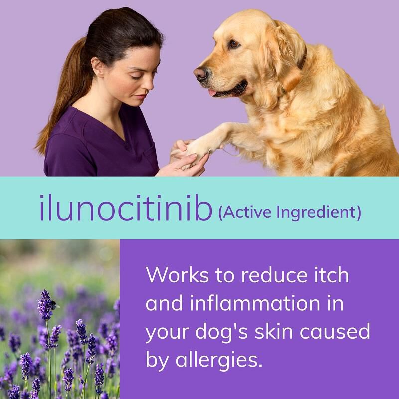 Zenrelia (ilunocitinib) Tablets for Dogs, 6.4 mg 30 ct