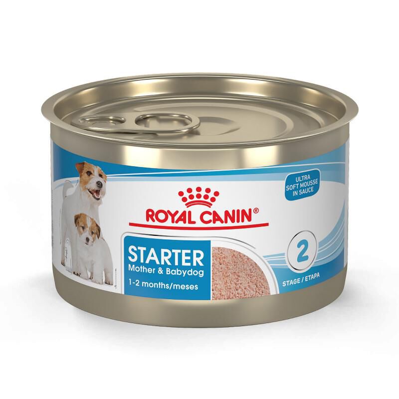 Royal Canin Size Health Nutrition Starter Mother & Babydog Mousse In Sauce Canned Dog Food, 24 x 5.1 oz cans