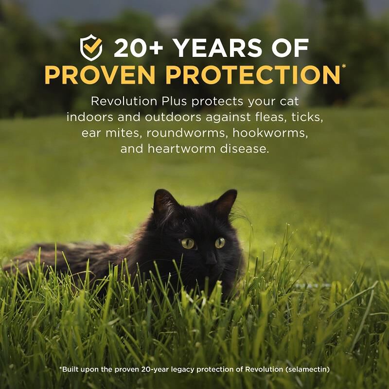 Revolution Plus for Cats