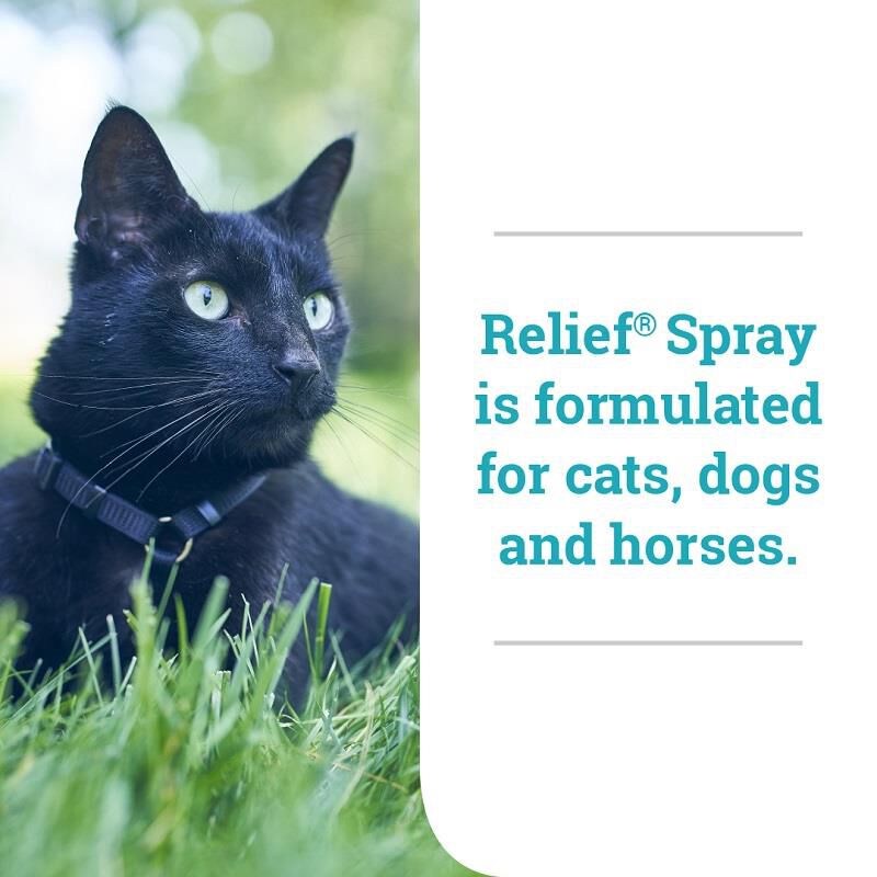 Relief Spray, 8 oz