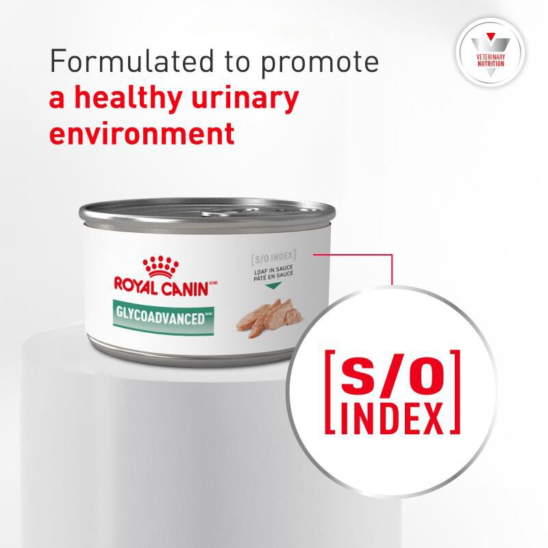 Royal Canin Veterinary Diet Glycoadvanced Canned Food for Diabetic Adult Cats, 24 x 5.1 oz cans