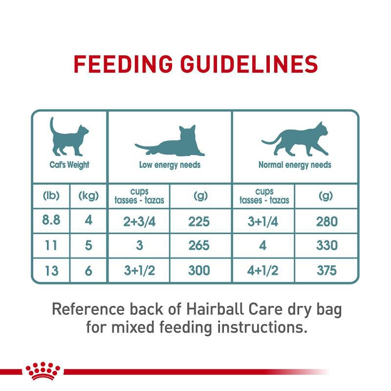 Royal Canin Feline Care Nutrition Adult Hairball Care Thin Slices in Gravy Canned Cat Food, 24 x 3 oz cans
