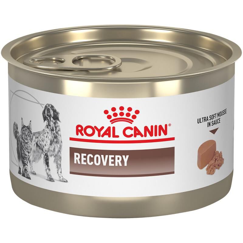Royal Canin Veterinary Diet Adult Recovery Ultra Soft Mousse in Sauce Canned Dog & Cat Food, 24 x 5.1 oz cans