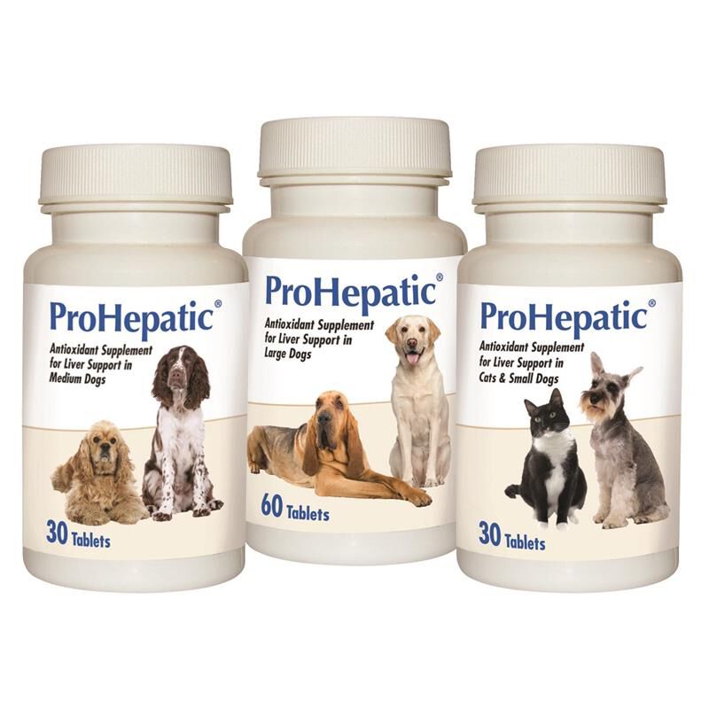 Best liver supplements for dogs on sale