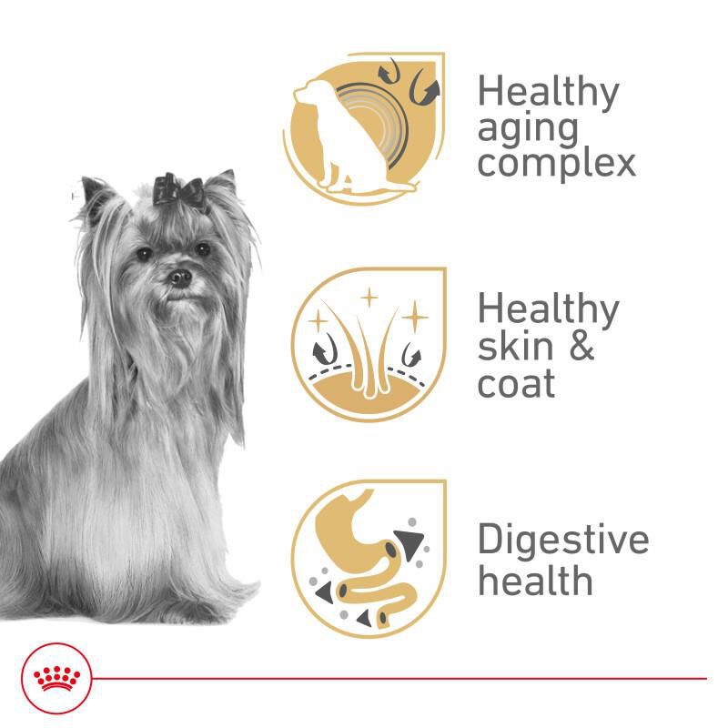 Royal Canin Breed Health Nutrition Yorkshire Terrier Adult 8+ Dry Dog Food, 2.5 lb bag