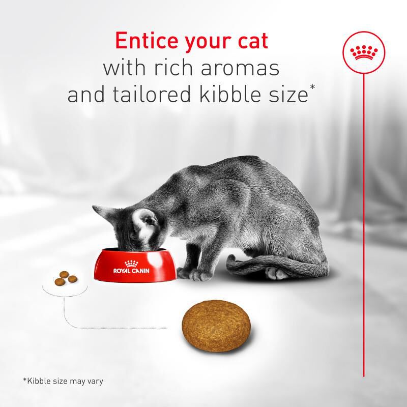 Royal Canin Feline Health Nutrition Fussy Adult Dry Cat Food, 7.7 lb