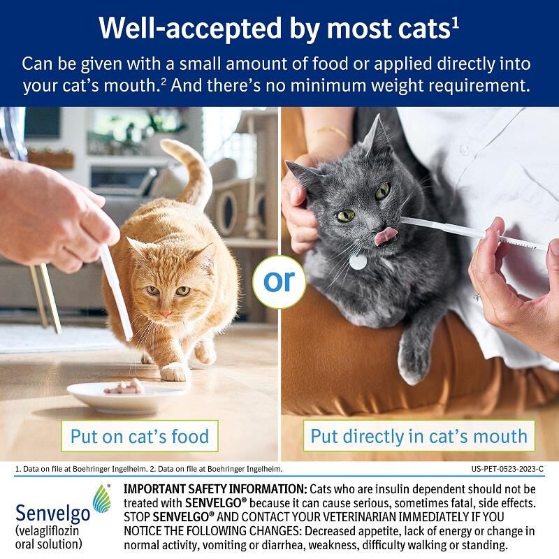 Senvelgo (velagliflozin oral solution) for Cats, 15 mg/ml, 12 ml