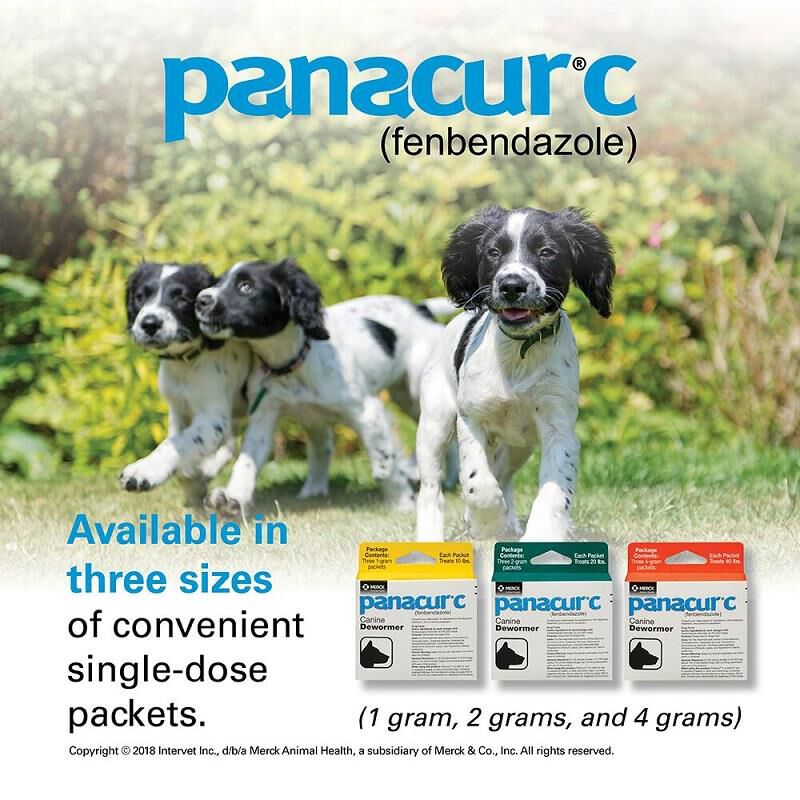 Panacur C Canine Dewormer 3x1 gm