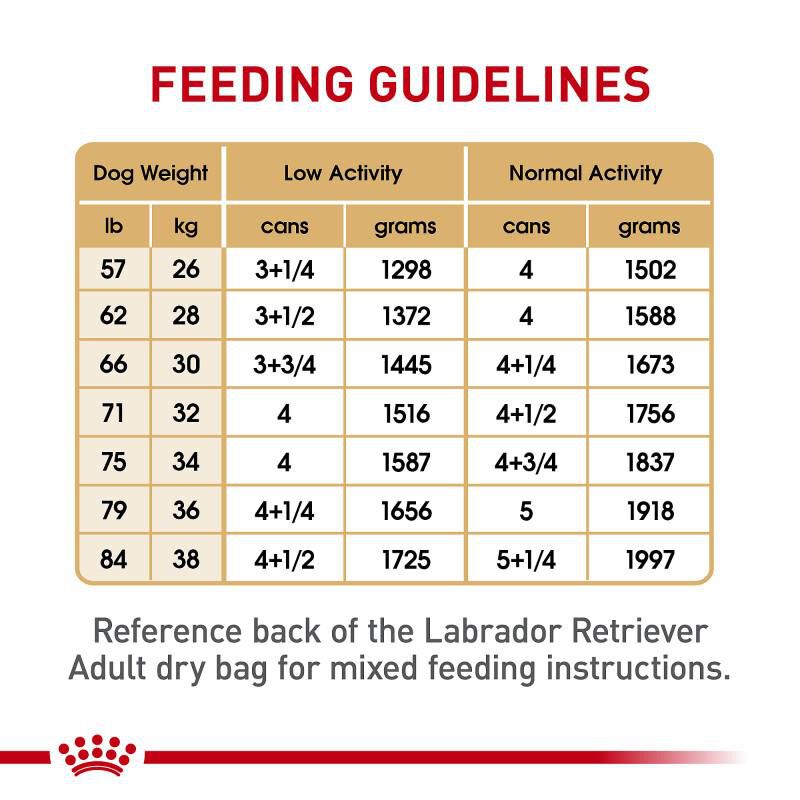 Royal Canin Breed Health Nutrition Labrador Retriever Adult Loaf in Sauce Canned Dog Food, 12 x 13.5 oz cans