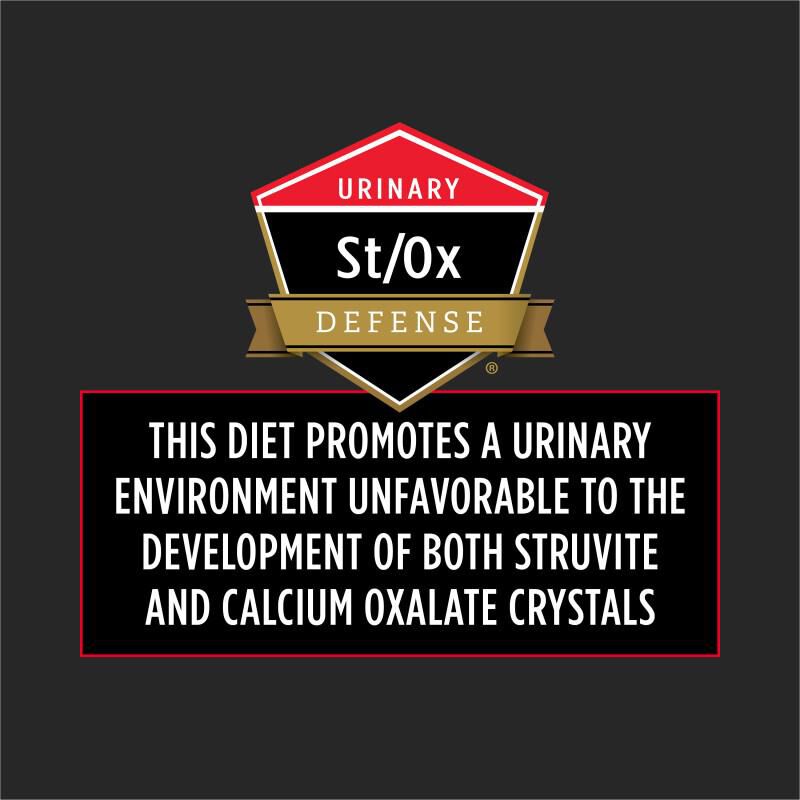 Purina Pro Plan Veterinary Diets DM Dietetic Management Formula Adult Dry Cat Food