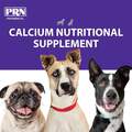 Calsorb Calcium Supplement Gel for Dogs, 12 ml