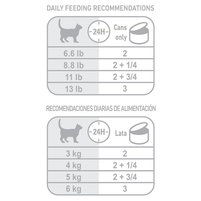 Royal Canin Feline Health Nutrition Indoor Adult Morsels in Gravy Canned Cat Food, 24 x 3 oz cans