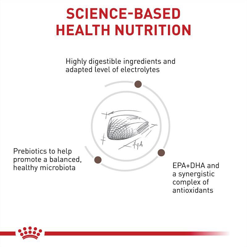Royal Canin Veterinary Diet Adult Multifunction Gastrointestinal Hydrolyzed Protein Dry Cat Food