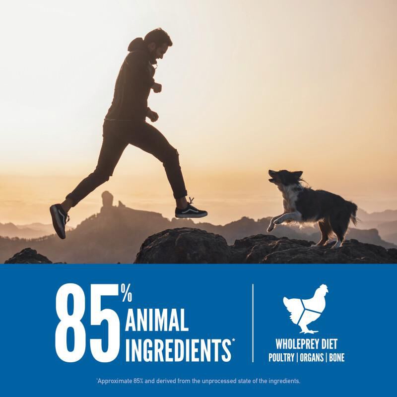 Orijen Original Dry Dog Food, 23.5 lbs