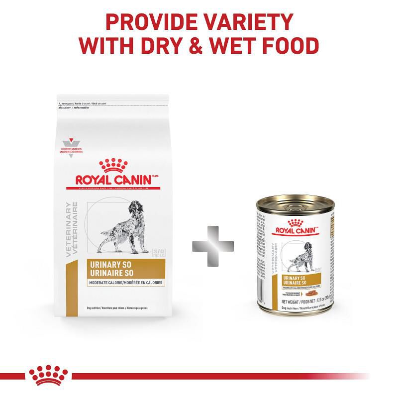 Royal Canin Veterinary Diet Adult Urinary SO Moderate Calorie Thin Slices in Gravy Canned Dog Food, 12.5 oz cans