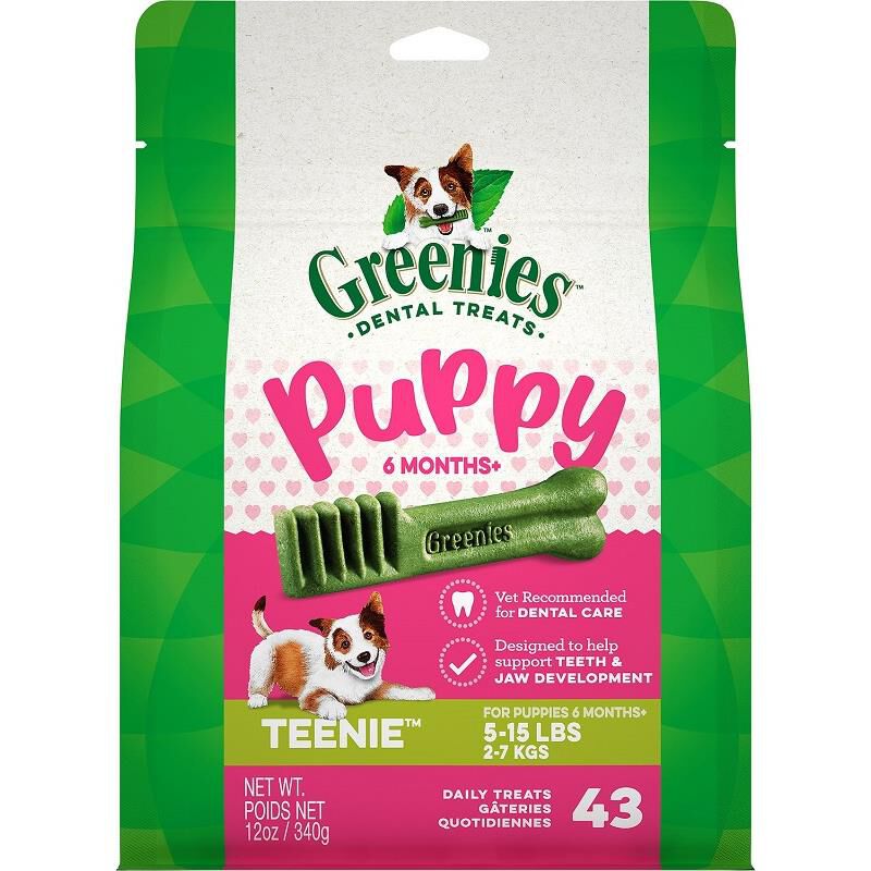 Greenies Puppy Dental Treats Best Prices Allivet
