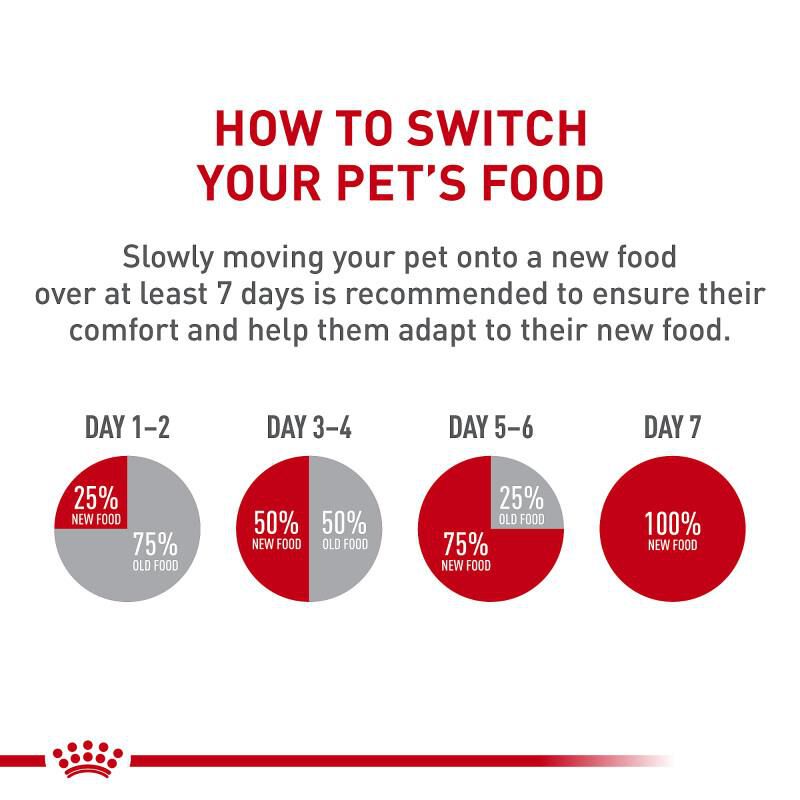 Royal Canin Canine Health Nutrition Mature Adult In Gel Canned Dog