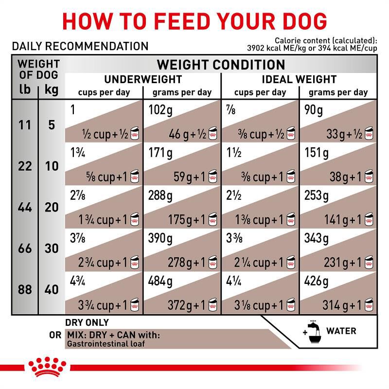 Royal Canin Veterinary Diet Adult Gastrointestinal Dry Dog Food, 8.8 lb bag