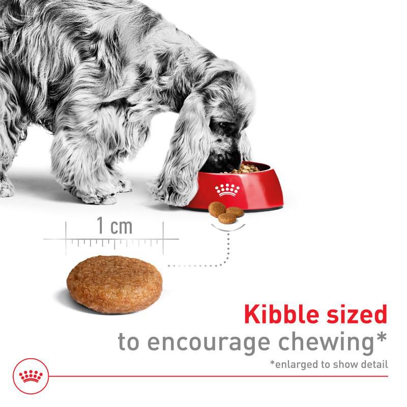 Royal Canin Size Health Nutrition Medium Adult Dry Dog Food