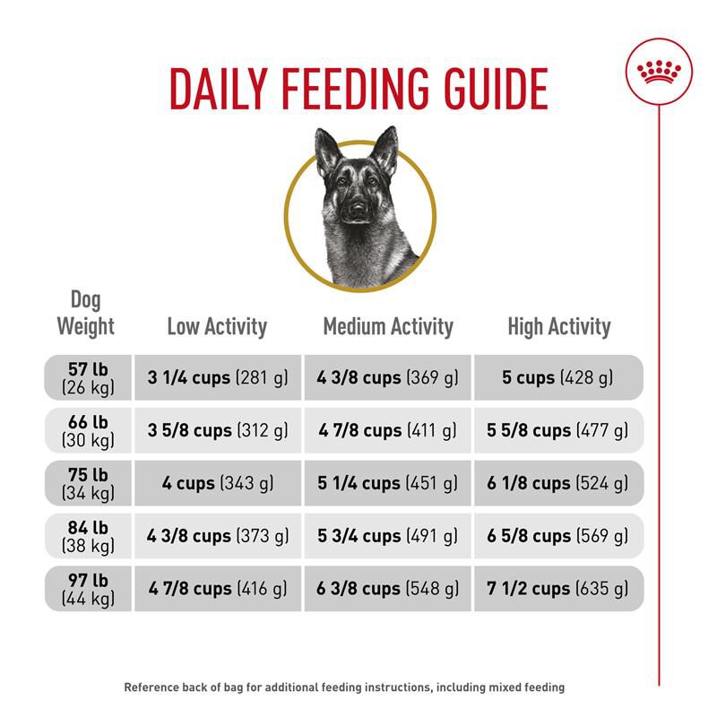 Royal Canin Breed Health Nutrition German Shepherd Adult Dry Dog Food